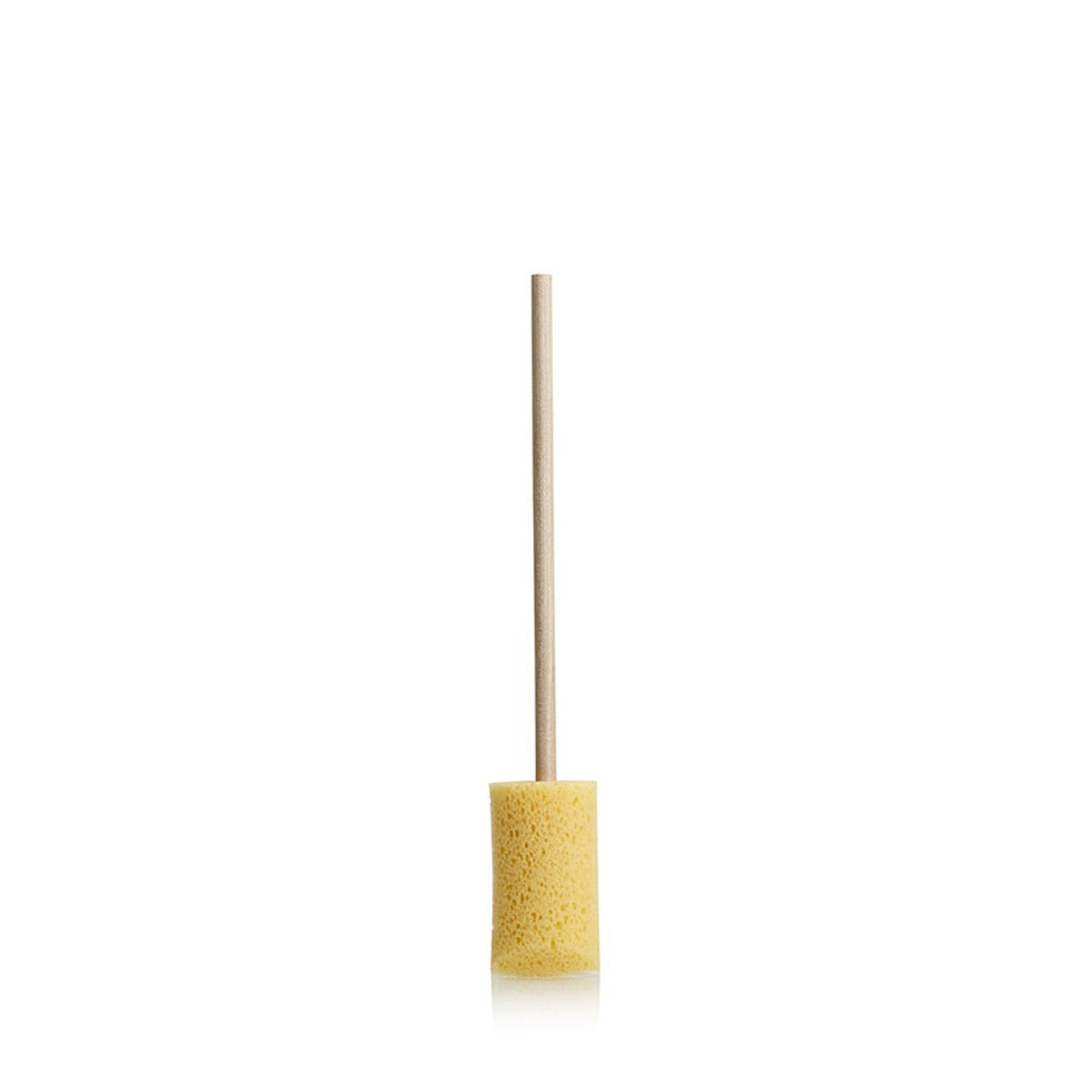 Sponge Guru Oval Wheel Brush with  a wooden handle on a white background