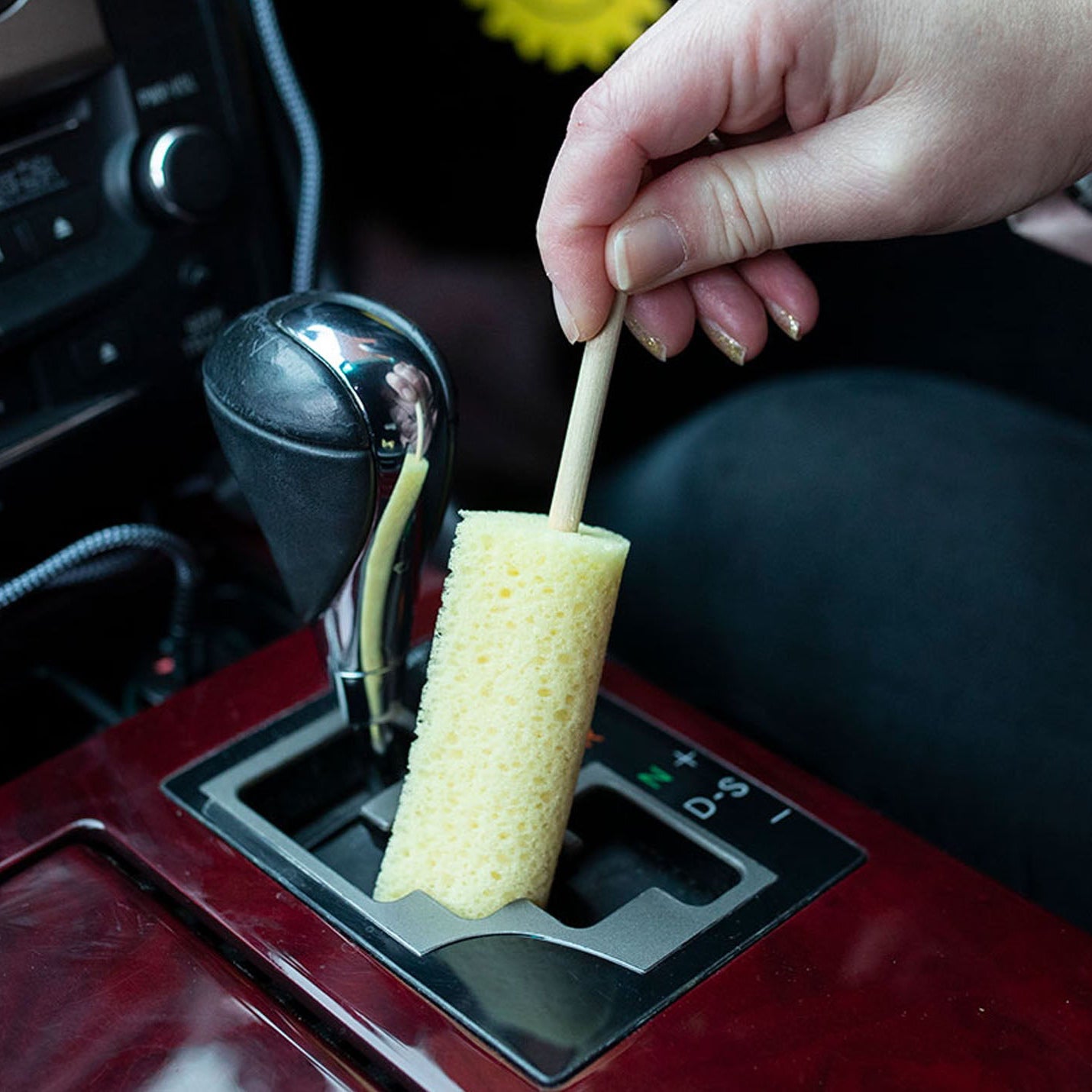 Sponge Guru Precision Detailing Sponge Kit