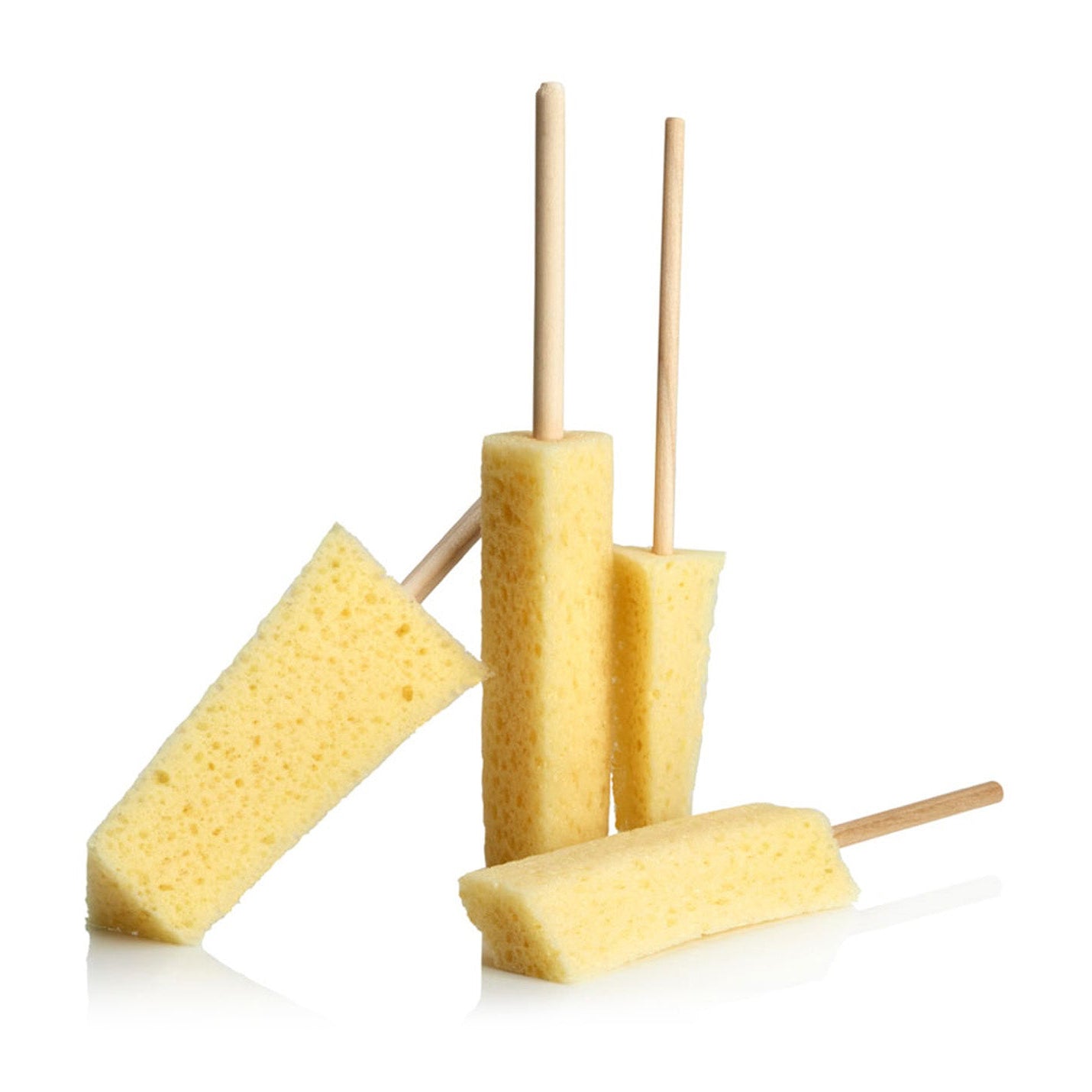 Sponge Guru Precision Detailing Sponge Kit