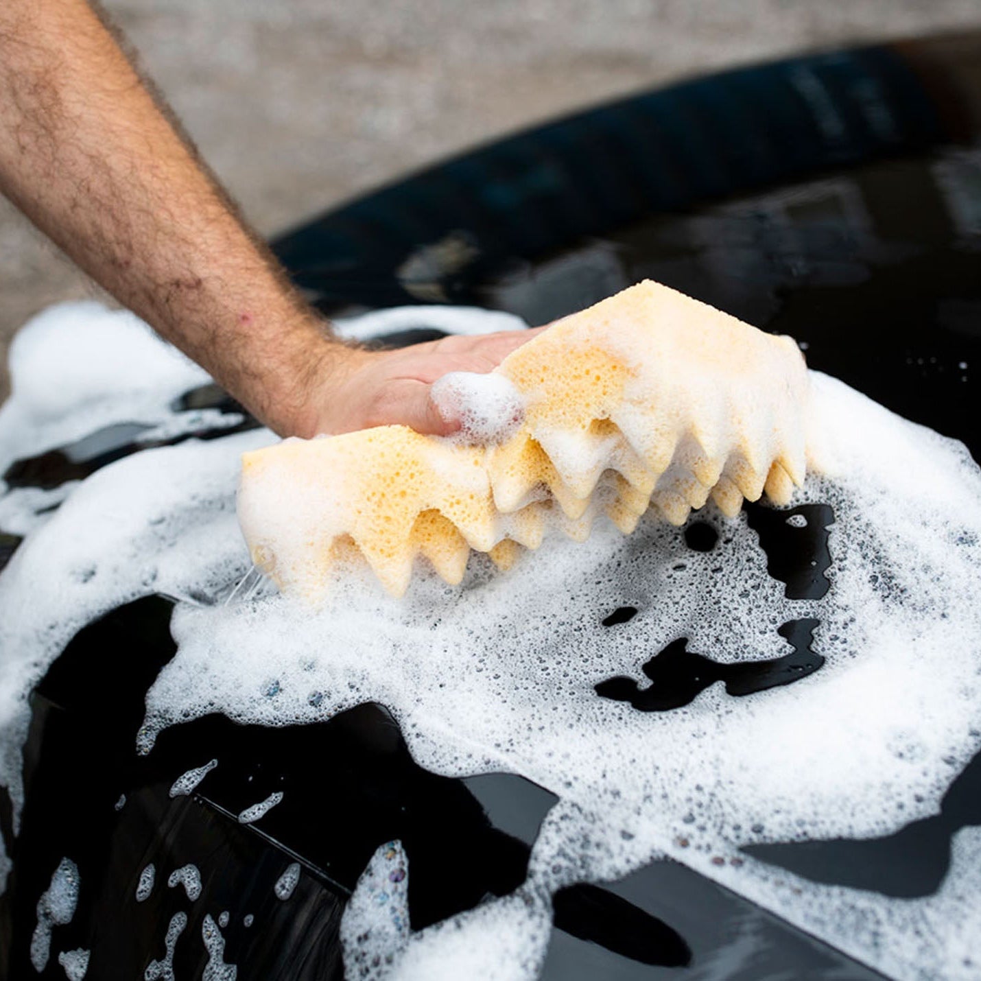 Sponge Guru Ultimate Sponge Car Care Kit